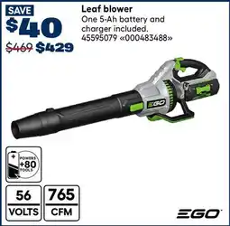 RONA Leaf blower offer