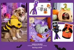 Mondou VARIOUS BRANDS Halloween collection for cats or dogs offer