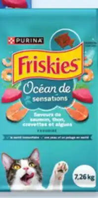 Walmart Friskies dry cat food offer