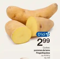 Avril Fingerling bios offer