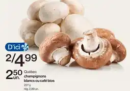 Avril champignons blancs ou café bios offer