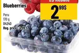 Mayrand Blueberries offer