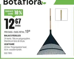 BMR BALAI À FEUILLES offer
