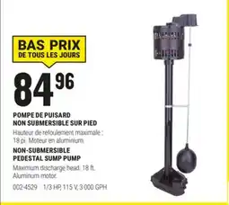BMR POMPE DE PUISARD NON SUBMERSIBLE SUR PIED offer
