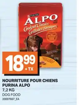 L'Intermarché NOURRITURE POUR CHIENS | DOG FOOD offer