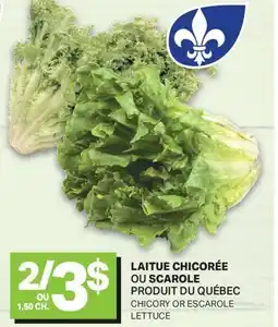 L'Intermarché LAITUE CHICORÉE OU SCAROLE | CHICORY OR ESCAROLE LETTUCE offer