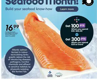 Sustainable Blue Atlantic Salmon Fillets