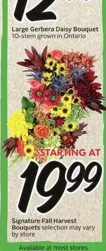 Sobeys Large Gerbera Daisy Bouquet offer