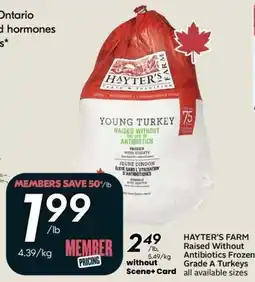 Sobeys Hayter's Farm young turkey offer