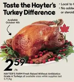 Sobeys Hayter's turkey offer