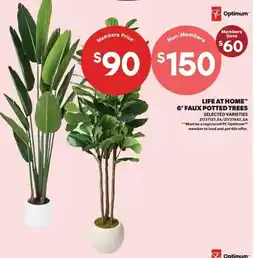Real Canadian Superstore Optimum Life At Home 6' Faux Potted Trees offer