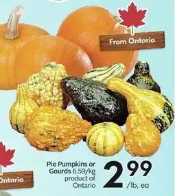 Sobeys Pie Pumpkins or Gourds offer
