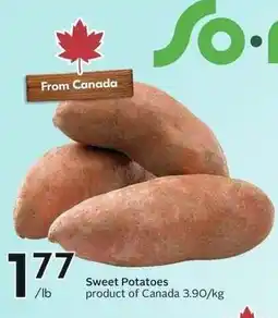 Sobeys Sweet Potatoes offer