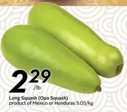 Sobeys Long Squash (Opo Squash) offer