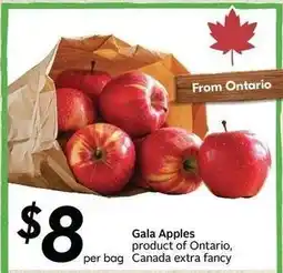 Sobeys Gala Apples offer