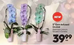 Calgary Co-op 5" gem infused orchid offer