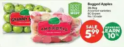 Calgary Co-op Bagged Apples offer