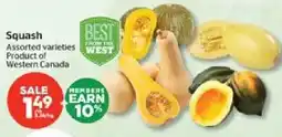 Calgary Co-op Squash offer