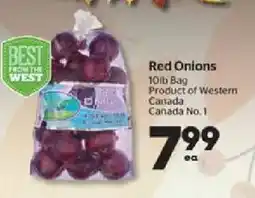 Calgary Co-op Red Onions offer