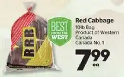 Calgary Co-op Red Cabbage offer