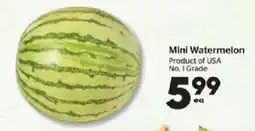 Calgary Co-op Mini Watermelon offer