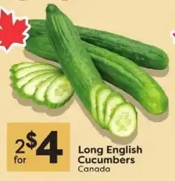 Quality Foods Long English Cucumbers offer