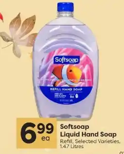 Quality Foods Softsoap Liquid Hand Soap offer