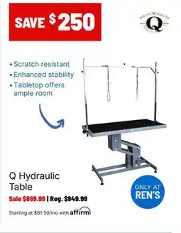 Ren’s Pets Depot Q Hydraulic Table offer