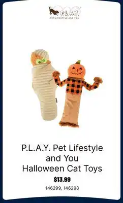 Ren’s Pets Depot P.L.A.Y. Pet Lifestyle and You Halloween Cat Toys offer