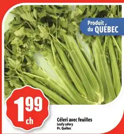 Bonanza Céleri avec feuilles offer