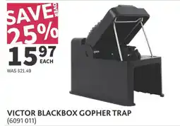 Co-op Victor blackbox gopher trap offer