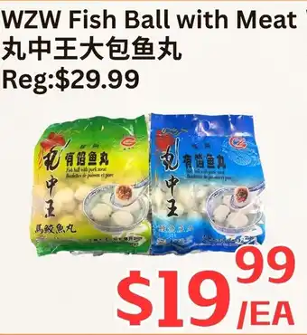 WZW Fish Ball with Meat