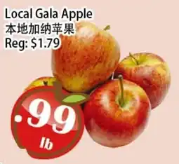 Food Depot Supermarket Gala Apple offer