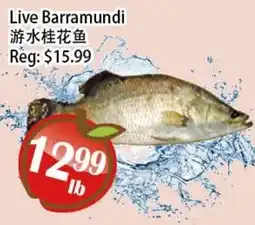 Food Depot Supermarket Live Barramundi offer