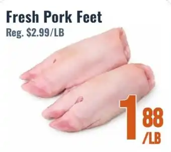 Fresh Pork Feet
