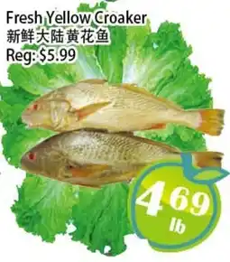 Food Depot Supermarket Fresh Yellow Croaker offer