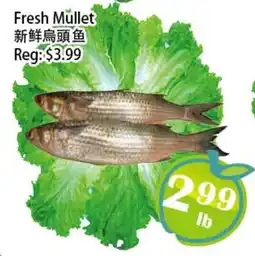 Food Depot Supermarket Fresh Mullet offer