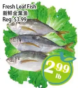 Food Depot Supermarket Fresh Leaf Fish offer