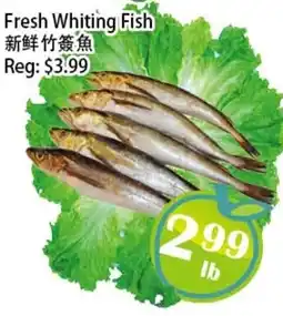 Food Depot Supermarket Fresh Whiting Fish offer