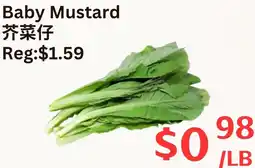Farm Fresh Supermarket Baby Mustard offer