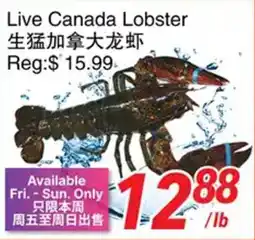 Foody World Live Canada Lobster offer