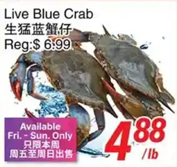 Foody World Live Blue Crab offer