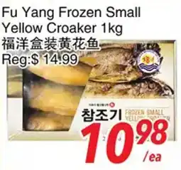 Foody World Fu Yang Frozen Small Yellow Croaker offer