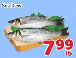 Fresh Value Sea Bass offer