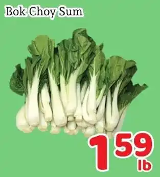 Bok Choy Sum