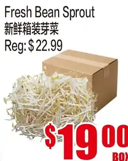 Fusion Supermarket Fresh Bean Sprout offer