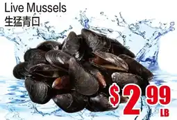Fusion Supermarket Live Mussels offer