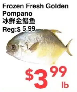 Frozen Fresh Golden Pompano