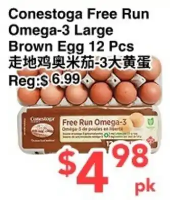 Conestoga free run omega-3 large brown egg