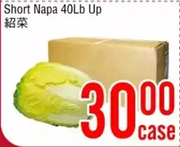Fresh Value Short Napa offer